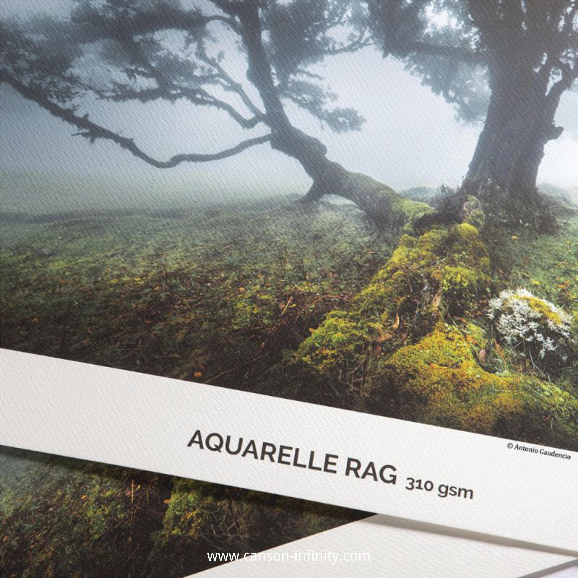 canson aquarelle rag 310 gsm